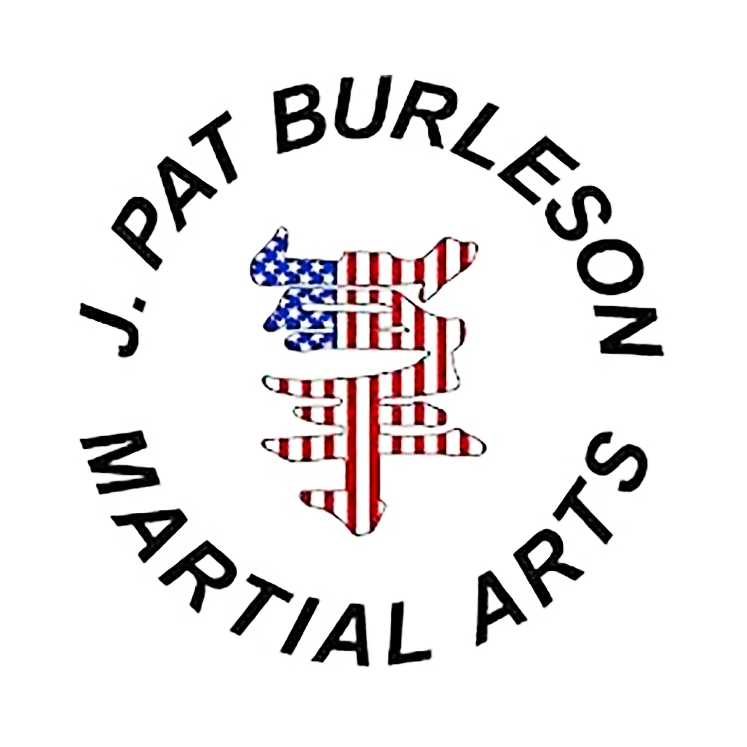 Martial arts logo with American flag symbol.