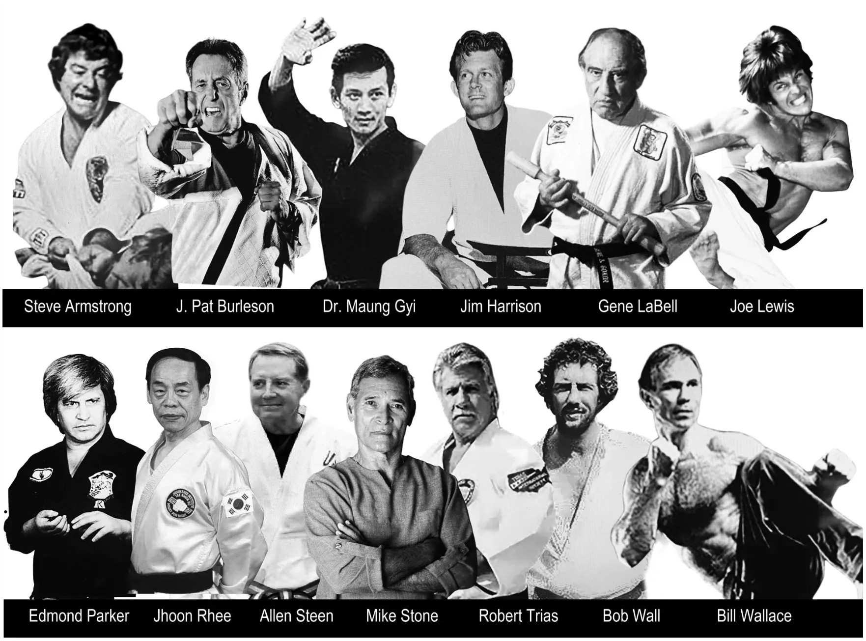 Martial artists in various action poses